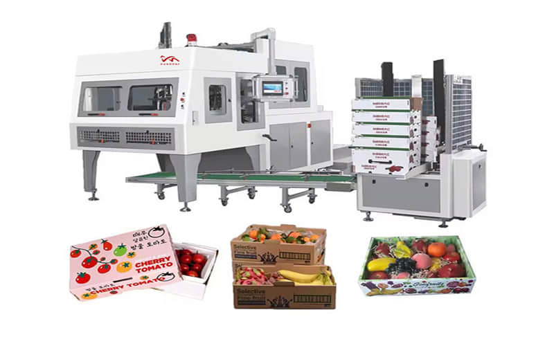Máquina Automática para Cajas de Cartón para Frutas | PLC + CE | MaquinaBolsas Chile Ecuador