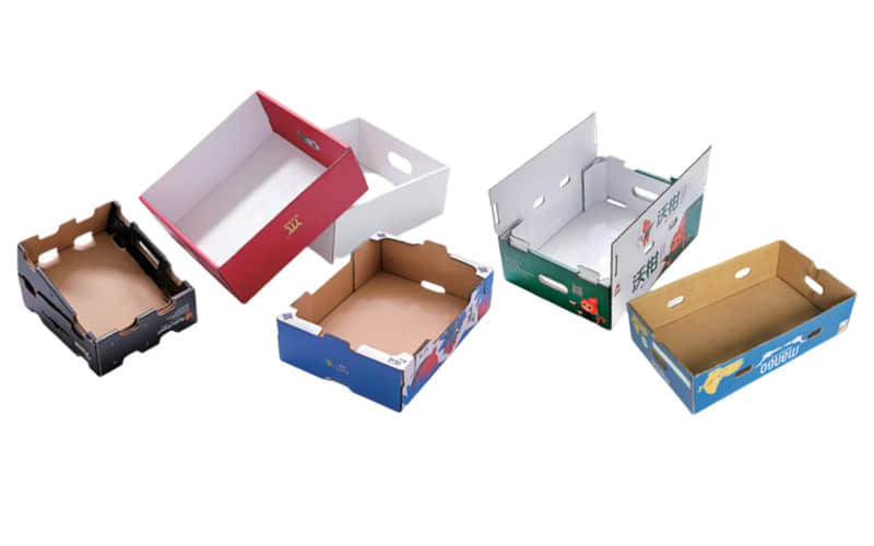 Máquina Automática para Cajas de Cartón para Frutas | PLC + CE | MaquinaBolsas Chile Ecuador