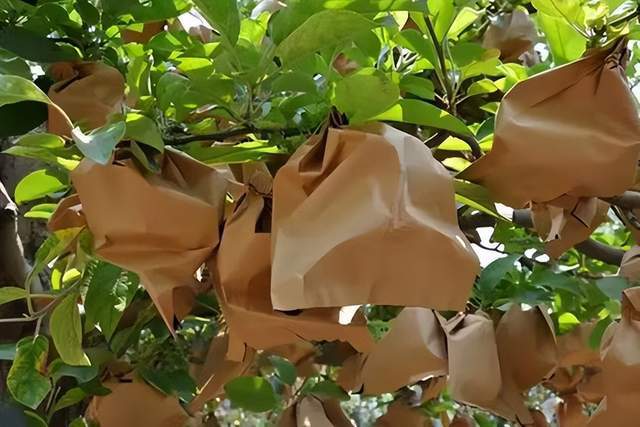 Máquinas para fabricar bolsas: una guía sencilla sobre tipos y usos