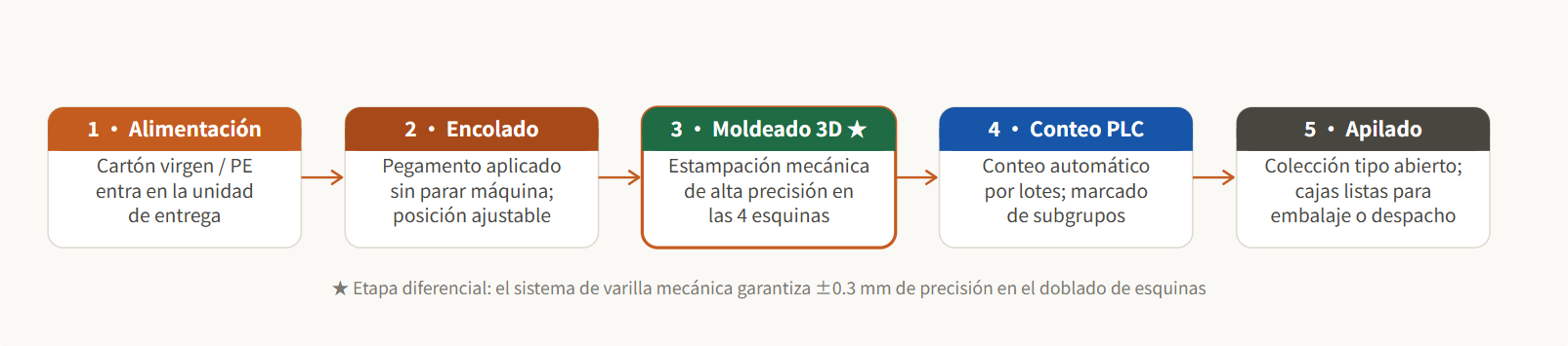 Máquina Automática para Hacer Cajas de Comida ZF-800Plus | Formadora y Armadora 